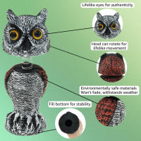 Decoy De Falso Águila Realista Con Cabeza Giratoria De 360° PE Simulación De Pájaro Para Disuadir Aves En Jardín Decoración De Estatua De Águila - details 15