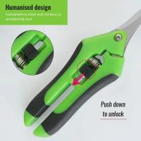 Tijeras De Jardín De Acero Inoxidable Para Podar Flores Y Frutas Adecuadas Para Podar Uvas Cabeza Recta Herramienta De Jardinería - details 2