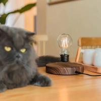 Lámpara De Mesa Magnética Levitación Con Bombilla LED Creativa Iluminación Nocturna Para Decoración De Oficina Y Hogar Regalo De Cumpleaños Novedosa - details 5