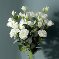 3PCS Flores Artificiales De Rosa Blanca Y Hojas De Eucalipto Peonía Bouquet Decoración Para Bodas Fiesta Vaso Hogar Sin Mantener Flores Naturales - details 0