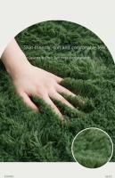 VIKAMA Alfombra De Seda Y Lana Verde Lujo Para Dormitorio Y Sala De Estar Alfombra Nórdica Para Mesa De Café Y Lado De Cama Para Habitación De Niña - details 4