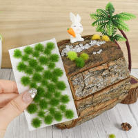 Moss Artificial De Madera Para Decoración De Paredes Hogar Y Jardín Vida Eterna Falso Pasto Planta Mini Accesorios Para Flores - details 3