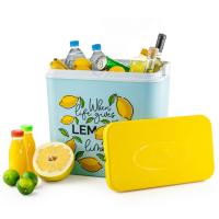 Start Electric | Nevera Portátil Térmica - Cool Box Resistente de Polipropileno con Diseños y Colores Variados - Ideal para Camping, Playa, Jardín, Barbacoas y Piscina - Capacidad 24/30L - Hasta 6h de Frío | Marca Atlantic - details 3