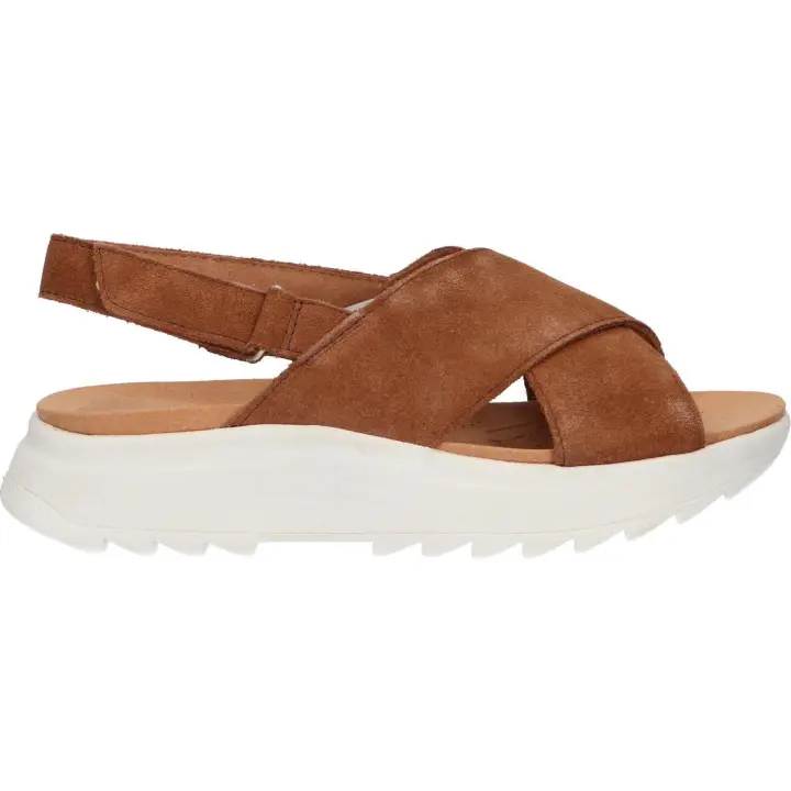 Sandalias de Mujer CLARKS 26171950 DASHLITE WISH DARK TAN SUEDE - 1