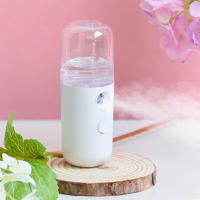 Pequeño Humidificador Facial Recargable Portátil 30ml Mini Neumático Nano Personal Hidratante De Cara Con Niebla Fría Para Hogar - details 15