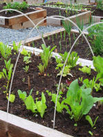 Kit De Jaula De Jardín Con Red De Apoyo Para Plantas Y Caminos Elevados 15 Piezas Marco De Soporte Para Invernadero Fibra De Vidrio Malla De Jardín - details 0
