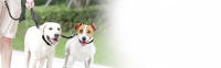 Edipets Correa Doble Reflectante para Pasear Dos Perros con Clip Giratorio 360º - details 1