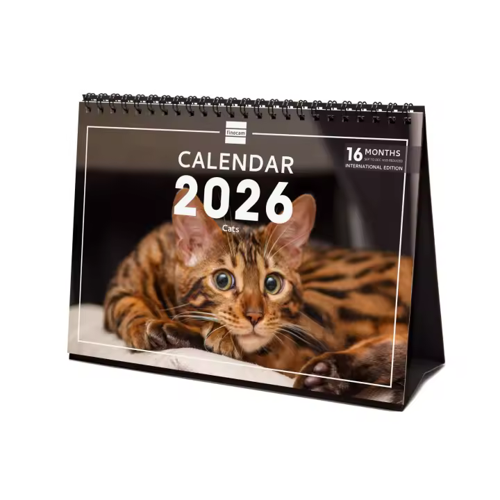 Finocam - Calendario Imágenes de Sobremesa Internacional 2026 Cats Enero 2026 - Diciembre 2026 (12 meses) + Sep.-Dic. 2025 (4 meses) reducidos Internacional - 1
