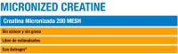 Micronized Creatine 300gr Mojito - Weider - details 3