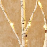 Rama De Birch Blanca Con 20 LED Luces Festivas Operadas Por Batería Para Decoración De Bodas Y Navidad Accesorio De Fiesta - details 4