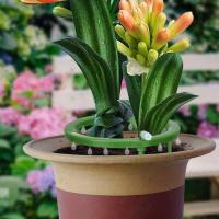 Sistema De Riego Por Drip Para Plantas Anillo De Riego Con Soporte Para Jardín Accesorio De Riego Para Plantas - details 1