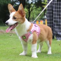 Juego De Correa Y Harnés Reflectante Para Perro Y Gato Transpirable Evita La Pulla Vestido De Dibujante Animado Para Todas Las Estaciones - details 5