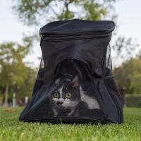 Mochila de Transporte para Mascotas Pequeñas – Ideal para Perros y Gatos | Diseño Transpirable, Correas Ajustables y Tela Resistente al Agua y Arañazos | ¡INCLUYE BEBEDERO PORTÁTIL DE REGALO! - details 3