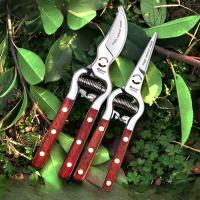 Tijeras De Podar De Jardín Con Mango De Madera De 8 Pulgadas Para Cortar Ramas De Árboles Y Frutas Herramienta De Poda Para El Hogar - details 0