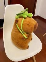Muñeco De Peluche Capibara Anime Suave Y Fluffy Juguete Kawaii Para Niños Y Adultos Regalo De Peluche Simulación De Capibara - details 0