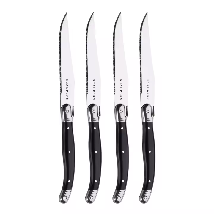 Set de 4 cuchillos en acero inoxidable y mango ergonómico Scalpers Home - 1