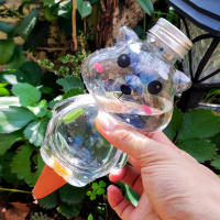 Sistema De Riego Automático Para Plantas En Maceta 500ML Oso Encantador Herramienta De Riego Para Interior Jardín Hogar - details 0
