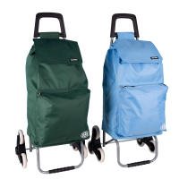 Cofan Carro de la Compra Plegable 6 Ruedas | Bolsa 42L | Hierro | Verde - details 0
