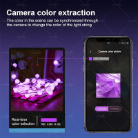 Luz De Fairy LED RGB IC Smart String DIY Programable WS2812B USB Garland Decoración Para Exterior Navidad Luces De Globos Fairy - details 10