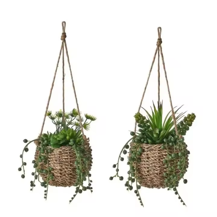 Dcasa Set de 2 plantas artificiales con maceta cactus de plástico colgante - 1