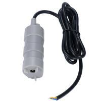 Bomba De Agua Sumergible 12V Para Acuario Caravana Camping Jardín 10-20 L/min Bomba Eléctrica De Baja Presión - details 2