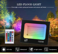 Lámpara De Pared Exterior RGB LED IP66 Impermeable 100W 50W 30W 220V Iluminación De Paisaje Luz De Escenario Faro De Albañal - details 0