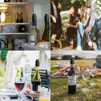 Tapa De Vino Con Bomba De Vacío Accesorios De Barra Sellador Aerator Negro Silicone Ecológico Para Mantener El Vino Fresco - details 9