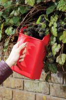 Home Made Berry Picker, Plastic / Metal, Red, 23 x 14cm - details 0