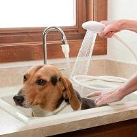 Manguera de Ducha Extraíble para Adultos Mayores y Mascotas - Flexible y Adaptable - Ideal para la Casa - details 4