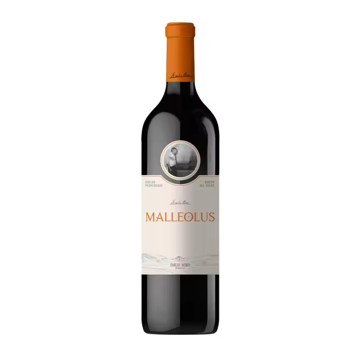 Malleolus - 1