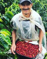 IRRÚA Café de Especialidad - Café de Colombia  (SCA 84,5) - Café Grano Tueste Natural Café en Grano Arábica 100% - details 0
