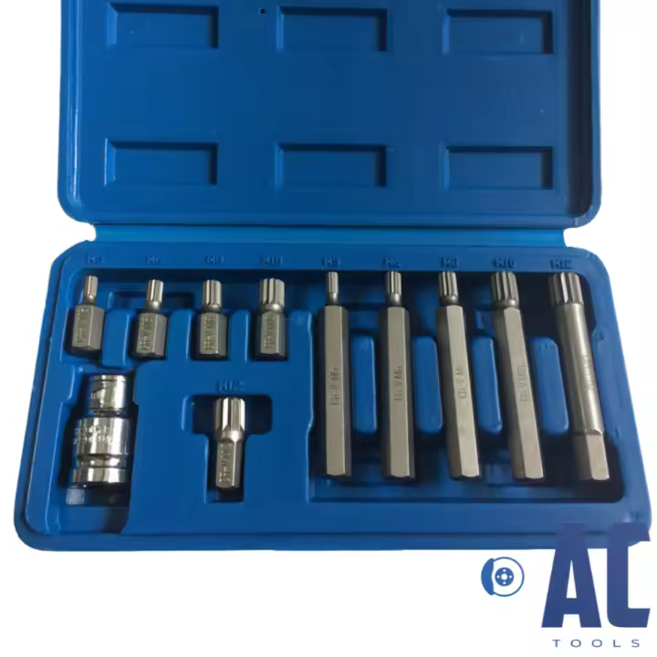 AC Tools Juego 10 puntas XZN o SPLINE + Adaptador de 1/2 + estuche almacenaje kit - 1