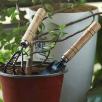 Juego De Herramientas De Jardín 3pcs Rake Pala Mini Para Plantas Succulentas Y Tierra Suave Aluminio Herramienta De Jardinería - details 8