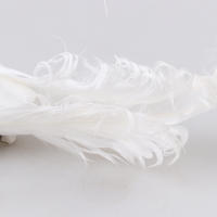 Pájaros Artificiales De Pluma De Espuma Blanca Doves Mini Decoración De Pájaros Para El Jardín Y Artesanía - details 25