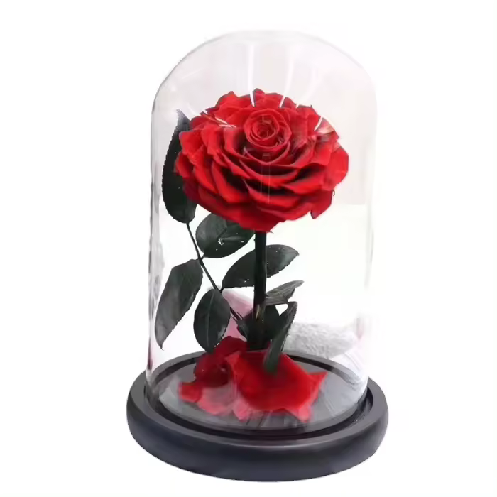 Preserved Real Rose Eternal Rose In Glass Dome Gift para ella Acción de Gracias Navidad Día de San Valentín Cumpleaños Día DE LA Madre (Rojo) bebetter - 1