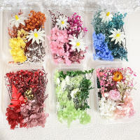 Paquete De Materiales Para Manualidades Con Flores Secas DIY Artesanía Artificial Para Decoración De Bodas Y Fiestas Cursos De Arte Flor Eterna - details 4