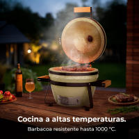 Barbacoa de Carbón Cerámica Cecotec Dragonfire 3200 Kamado 32 cm - details 6