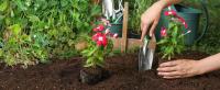 Herramientas de Jardín de Aluminio - Kit de Jardinería Resistant to La Corrosión - Bolsa de Almacenamiento - Guantes Antideslizantes - TONCHEAN - details 4