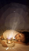 Proyector De Estrellas Luz Nocturna Rotatoria Lámpara Del Cielo Luna Galaxia Decoración Para Dormitorio Hogar Regalo Para Niños Luz De Navidad - details 1