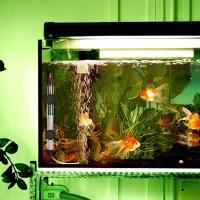 Calentador De Acuario Ajustable De Temperatura 110V/220V 25W/50W/100W/200W/300W Submersible Para Tanque De Peces Metal - details 9