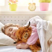 Animales de peluche de Vacas DE LAS Tierras Altas de 10,5 pies, Lindas figuras de Felpa de Vaca esponjosa, decoración realista de Felpa de Las Tierras Altas para niños, niños y niños - details 4
