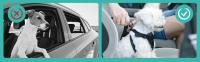 Nobleza - Cinturón de Seguridad de Coche para Perros, Arnés de Coche para Perros con Elástico y Fuerte Mosquetón, Universal Ajustable Nylon Cinturón Perro Coche, 2pcs/Pack, 50-70cm, Negro - details 2