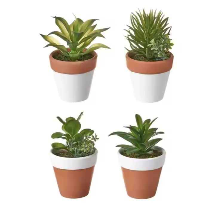 Dcasa Set de 4 plantas artificiales cactus de plástico con macetas de terracota de Ø 9x14 cm - 1