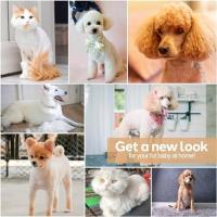 Cortapelos de perro para amoladora de uñas, recortadora eléctrica inalámbrica 4 en 1, bajo ruido, recargable por USB, cortapelos para mascotas - details 7