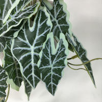 Planta Artificial De Valla Peacock Y Tortuga Hoja Begonia Verde Hierba En Maceta Para Decoración De Balcón Y Jardín Interior - details 14