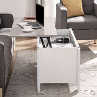 HOMCOM Mesa de Centro Elevable Mesa de Café con Encimera Elevable 2 Compartimentos Abiertos y Espacio Oculto de Almacenaje 105x50x49 cm Blanco y Efecto Mármol - details 3