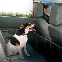 Red De Aislamiento Anticolisión Para Coche Con Valla Para Mascotas Barreira De Segurança Para Niños Y Perros Dispositivo Amortiguador - details 1