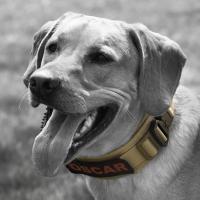 Collar Ajustable Clásico Para Perros De Náilon Resistente Con Reflejos Entrenamiento Militar Collar Táctico Pesado Para Aleman Shephard - details 13