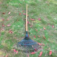 Rake De Jardín Con 22 Dientes Herramienta Agrícola Sin Mango Verde O Negro Acero De Carbono Alta Herramienta Para Rascar Y Recoger Hojas - details 4