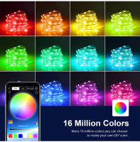 Luces De Cadena LED Faeir Para Bodas Y Fiestas Navideñas Impermeables Con Cambio De Color Rainbow Decoración De Hogar Irregular DC Auto-Contenida - details 4